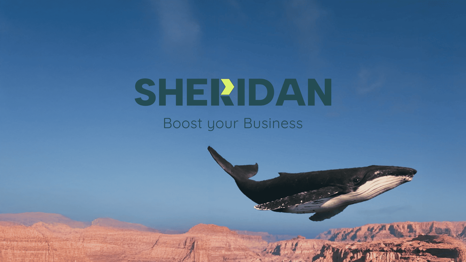 portada-video-sheridan